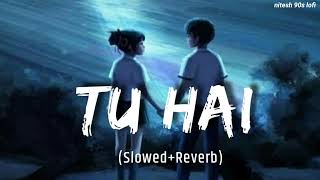 "TU HAI [ slowed+Reverb ] | MOHENJO DARO | A.R. RAHMAN,SANAH MOIDUTTY |Hrithik Roshan #nitesh90slofi