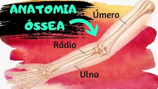 AULA 48: ANATOMIA ÓSSEA DO ÚMERO, RÁDIO E ULNA