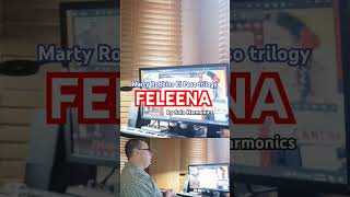 Feleena (Marty Robbins El Paso) see entire video @soloharmonicsrobj8246