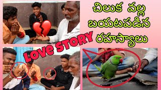 chilaka jyothisham || part 2/3 #comedyvideos || #funnyvideostelugu