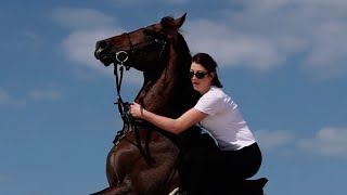 Beach ride Dubai #horseriding #horserid #horseride #horse #horselover