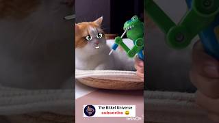 The angry cat vs chocolate toy #funny #short