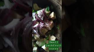 Jackfruit curry (Polos curry- පොලොස් කරිය) Sri Lanka 🇱🇰