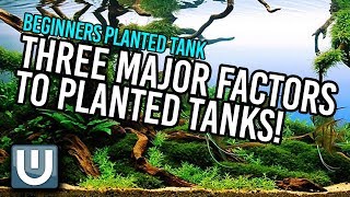 Planted Tanks - 3 Major Factors you MUST know! | Part 2