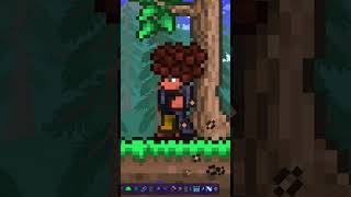 Best Terraria Mods #28 Better Zoom #terraria #gaming