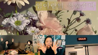 [식물이랑] 임이랑의 식물수다 VLOG