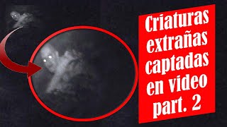 CRIATURAS EXTRAÑAS CAPTADAS EN VÍDEO PARTE 2 (CRIATURAS NO HUMANAS)