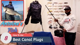 How To Use The Best 8 Plugs For The Cape Cod Canal 2023