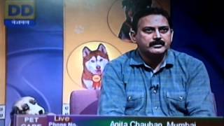 Pet Care Sep 14 2013