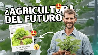 Qué es la HIDROPONÍA 💧 | Como hacer HIDROPONIA CASERA 🌱 | Asi es la AGRICULTURA DEL FUTURO 🪴