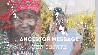 Ancestor Message - What Do You Do When There is No One To…