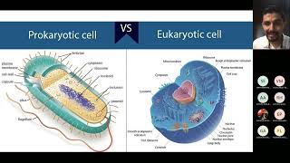 Oxidación e Inflamación: Biofísica de fármacos - Dr.  Francisco Javier Sierra Valdez