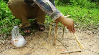 Make A Simple Unique Wild Chicken Trap Using Wood