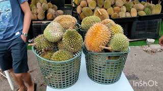 The Braders' Durian..Durian murah(musang king,udang merah,D24)harga mampu beli