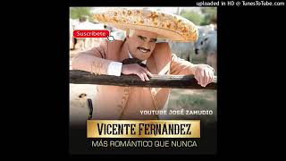 VICENTE FERNANDEZ | NUNCA NUNCA NUNCA