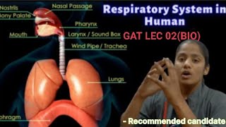 Respiratory system in human beings||GAT- Lec02|| nda ||nda exam