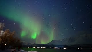 Dewi's diary - AMAZING AURORA AT NORWAY 2024