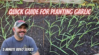 Tuesday Growing Tip: Properly Planting Garlic || DHBG