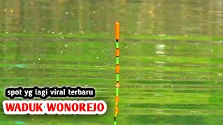 WADUK YG SEDANG VIRAL SAAT INI❗❗ WADUK WONOREJO TULUNGAGUNG TERBARU