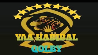 COVER SHOLAWAT AL-BANJARI_YAA HABIBAL QOLBY.