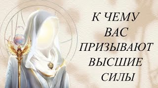 К ЧЕМУ ВАС ПРИЗЫВАЮТ ВЫСШИЕ СИЛЫ 🦋🕊️🌟🌞