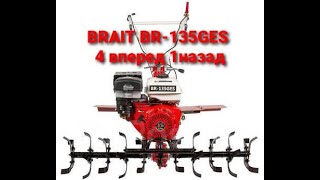 новый помощник BRAIT 135 GES 4 передачи вперед 1 назад,куплен в магазине гарденсток