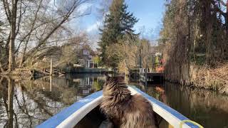 Meditation🧘 kayaking with Louis