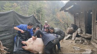 The new method of killing pigs in rural areas is easy to handle by two people. It's really fun