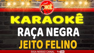 Karaokê (cover) Raça Negra Jeito Felino