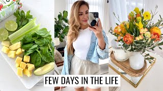 VLOG | Favorite Green Juice Recipe, Self Care Practices & New Rings | Annie Jaffrey