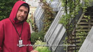 Coutts | Jack Astbury Gardening Tips From Our Skyline Garden