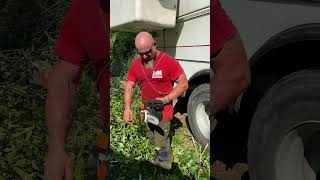 L&M Tree Service Reviews the Teccpo 40v Chainsaw: Power and Performance Tested in the Field #shorts