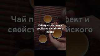 Чай Пуэр Польза. Как правильно заваривать #shorts #чай #пуэр #рекомендации