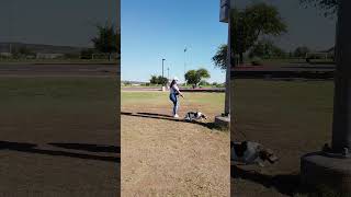 Beagle Training Phoenix I Barking I Pulling I Beagle Trainers Phoenix I All-American K-9