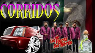 puros corridos los tigres del norte 💥💥💥