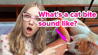 CAT BITES ASMR | CAT BITES OWNER | FUNNY CATS