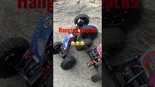 RC4WD Bully 2 Being lizards 🦎 🦎😂😂😂