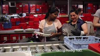 Onze Zomergasten: aflevering 6