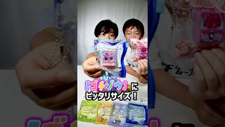 「ゴチゾウ」収納にピッタリサイズ！セリアの かわいい お菓子パッケージキーホルダー！