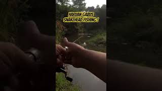 snakehead Hunting Short Video #shorts #fishingvideo #hyderabad