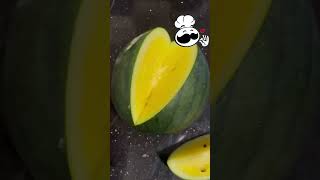 yellow watermelon | watermelon | Most Unique YELLOW WATERMELON😱😱 #fruit #watermelon #yellow #healthy