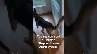 Warning GSD alarm system