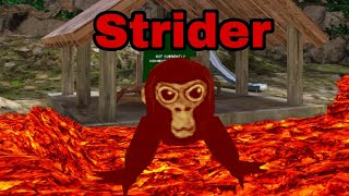 Trolling as strider| Gorilla Tag quest 2