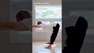 복식호흡하기 딱 좋은 자세! Good posture for abdominal breathing! (Kouksundo,Dan jeon breathing,meditation)