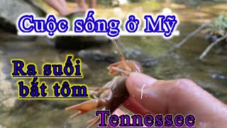 (P2). - cuộc sống ở Mỹ / đi chơi ở Tennessee/ lội suối bắt tôm ..!