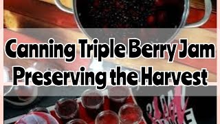 Canning & Gardening | Making Triple Berry Jam