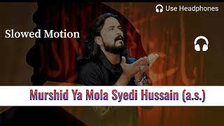 Murshid Ya Mola Syedi Hussain (a.s) / Irfan Haider / Slowed and Reverb Nohay / @aliabbasallstatus