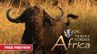 Tracks Across Africa | Free Preview | MyOutdoorTV