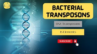 Bacterial Transposons || BioLog #genetics