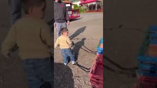 Kids pulls a wagon #youtubeshorts #ytshorts #shorts #funny #videos